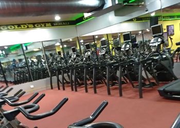 Best Gym In Mohali Pb Bestincity