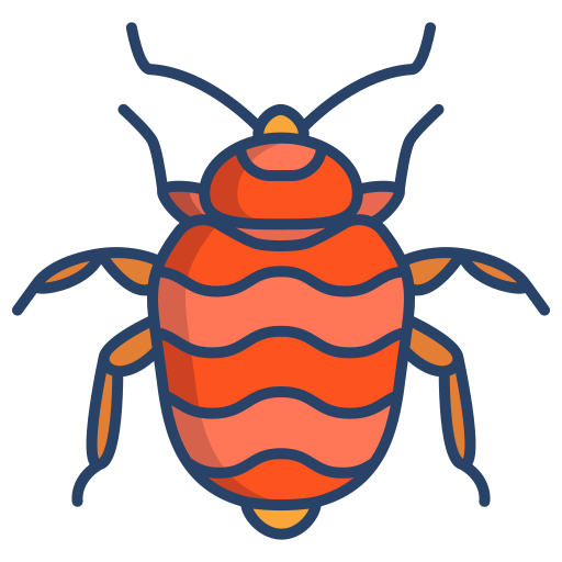 Bed Bug Treatment