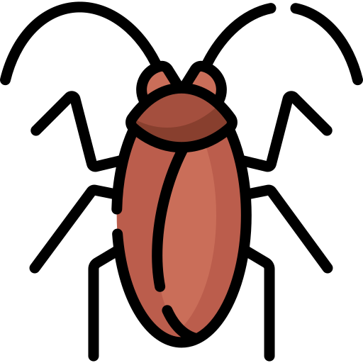 Cockroach