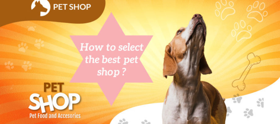 7 Tips For Choosing Best Pet Shop