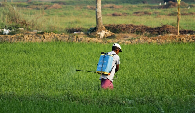 pest-control-for-food-safety