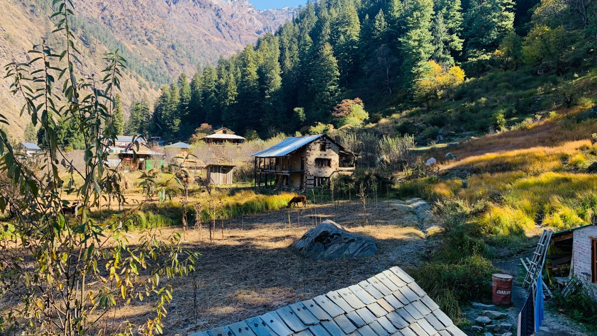 Enjoy A Dreamy Vacation With The Best Homestays In Sikkim - 5Best In City