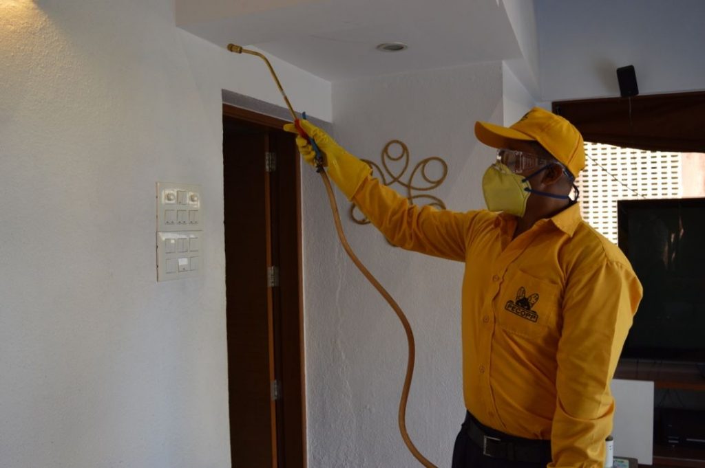 indian-pest-control-spraying-pesticide