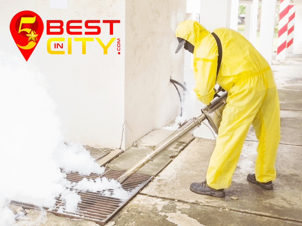 pest control 5bestincity