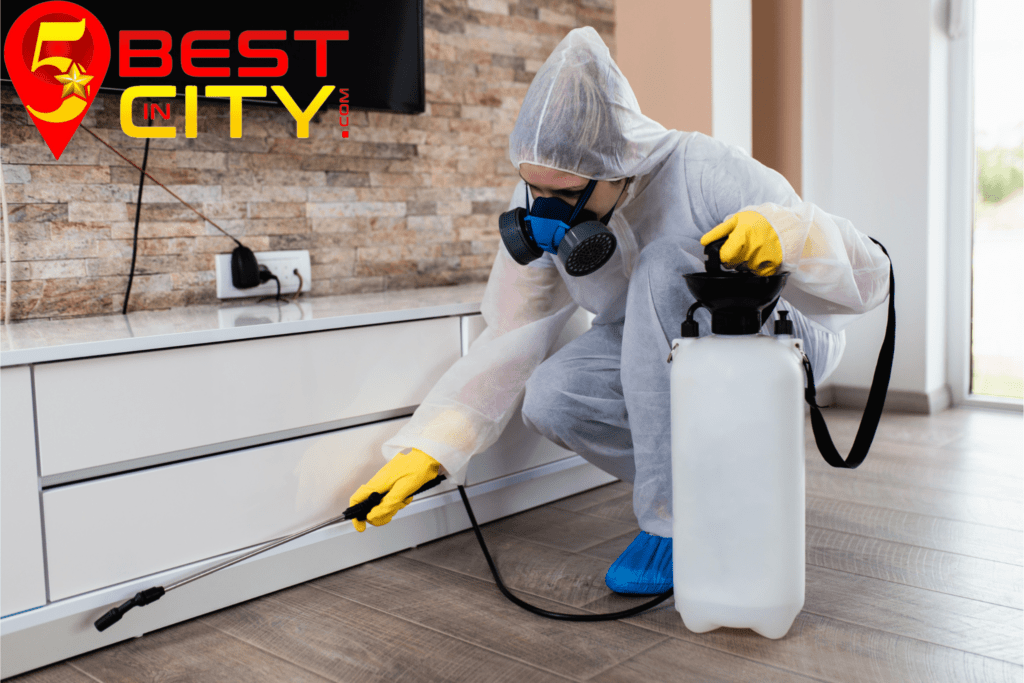 pest control 5bestincity pictures