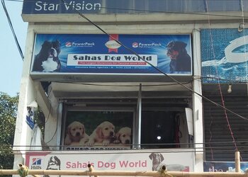 Sahas-Dog-world-Shopping-Pet-stores-Agartala-Tripura