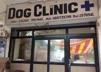 Dr-Gautam-s-Pet-Point-Dog-Clinic-Health-Veterinary-hospitals-Agra-Uttar-Pradesh