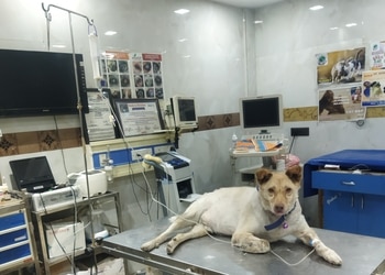Dr-Nehru-Dog-Cat-Hospital-Health-Veterinary-hospitals-Agra-Uttar-Pradesh-2