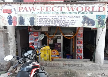 Paw-Fect-World-Shopping-Pet-stores-Agra-Uttar-Pradesh