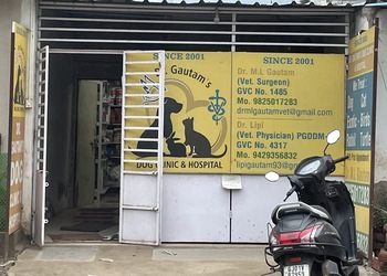 5 Best Veterinary hospitals in Ahmedabad, GJ 