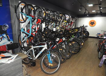 5 Best Bicycle stores in Ahmedabad, GJ - 5BestINcity.com