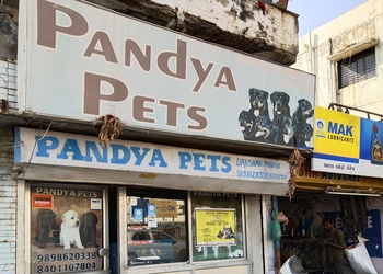 PANDYA-PETS-Shopping-Pet-stores-Ahmedabad-Gujarat