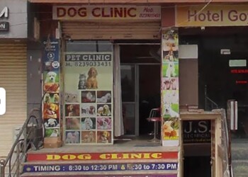 5 Best Veterinary hospitals in Ajmer, RJ 