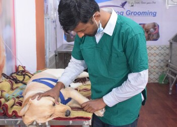 S-K-Pet-Clinic-Health-Veterinary-hospitals-Ajmer-Rajasthan-2
