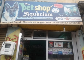 5 Best Pet stores in Aligarh, UP 