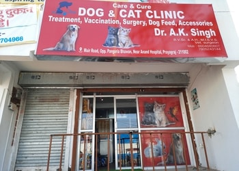 Care-Cure-Dog-And-Cat-Clinic-Health-Veterinary-hospitals-Allahabad-Prayagraj-Uttar-Pradesh
