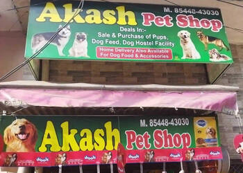 Akash-Pet-Shop-Shopping-Pet-stores-Amritsar-Punjab