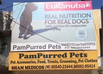 PAMPURRED-PETS-Shopping-Pet-stores-Amritsar-Punjab