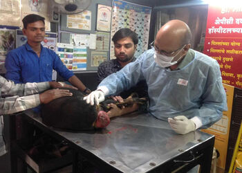 Dr-Bhadekar-Health-Veterinary-hospitals-Aurangabad-Maharashtra-2