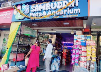 Samruddhi-Pets-and-Aquarium-Shopping-Pet-stores-Aurangabad-Maharashtra