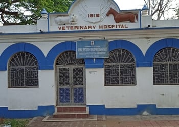 Veterinary-Hospital-Bankura-Health-Veterinary-hospitals-Bankura-West-Bengal