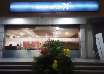 Palm-Bistro-Food-Family-restaurants-Bareilly-Uttar-Pradesh