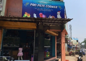 Pro-Pets-Corner-Shopping-Pet-stores-Belgaum-Karnataka