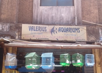 Valerius-Aquariums-Shopping-Pet-stores-Belgaum-Karnataka