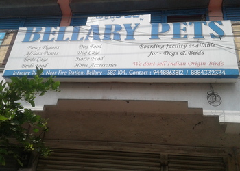 Bellary-Pets-Shopping-Pet-stores-Bellary-Karnataka