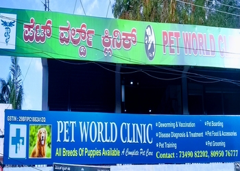 Pet-World-Health-Veterinary-hospitals-Bellary-Karnataka