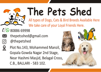Pets-Shed-Shopping-Pet-stores-Bellary-Karnataka
