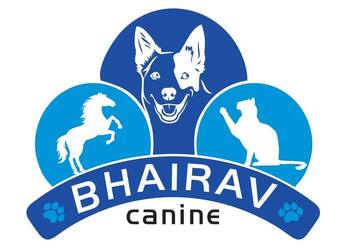 BHAIRAV-CANINE-Shopping-Pet-stores-Bhavnagar-Gujarat