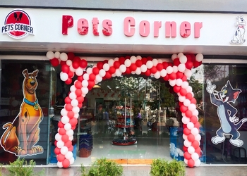 PETS-CORNER-Shopping-Pet-stores-Bhavnagar-Gujarat