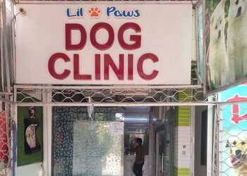 5 Best Veterinary hospitals in Bhopal, MP 