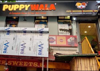 PUPPYWALA-Shopping-Pet-stores-Bhopal-Madhya-Pradesh