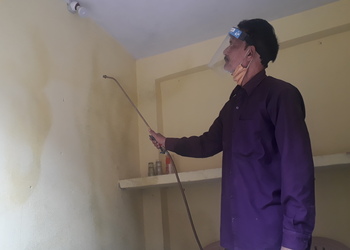 Perfect-Pest-Control-Local-Services-Pest-control-services-Bhopal-Madhya-Pradesh-1