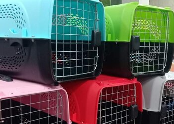 5 Best Pet stores in Bhopal, MP 