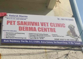 5 Best Veterinary hospitals in Bhopal, MP 