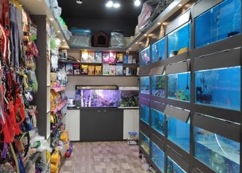 TOM-AND-JERRY-PET-CARE-Shopping-Pet-stores-Bhubaneswar-Odisha-1