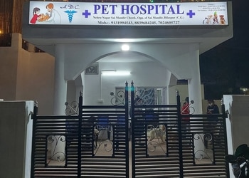 Dr-Tiwari-s-Pet-Clinic-Health-Veterinary-hospitals-Bilaspur-Chhattisgarh