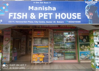 Manisha-Fish-House-Shopping-Pet-stores-Bokaro-Jharkhand