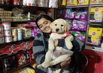 O-My-Dog-Shopping-Pet-stores-Bokaro-Jharkhand-2