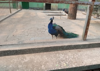 Zoological-Garden-Entertainment-Public-parks-Burdwan-West-Bengal-2