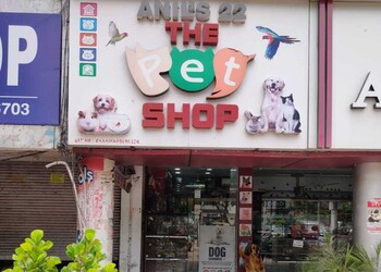 Dog Pet By in Opposite ISBT,Chandigarh - Best Pet Shops in