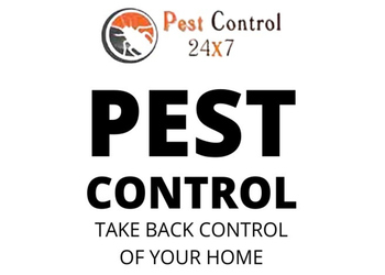 Pest-Control-24x7-Local-Services-Pest-control-services-Chennai-Tamil-Nadu