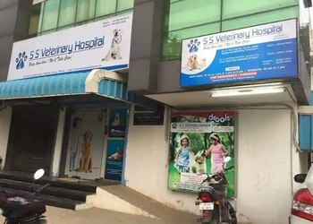 5 Best Veterinary hospitals in Chennai, TN 