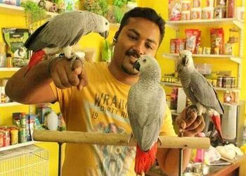 Tamed-Pets-Shopping-Pet-stores-Chennai-Tamil-Nadu-2