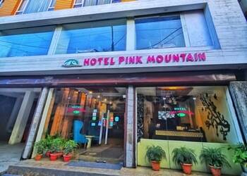 Hotel-Pink-Mountain-Local-Businesses-3-star-hotels-Darjeeling-West-Bengal