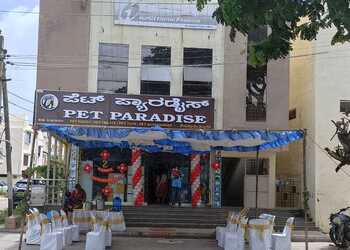 Pet-Paradise-Shopping-Pet-stores-Davanagere-Karnataka