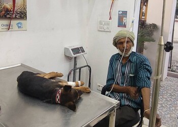 Dr-Amit-Doon-Pet-Life-Animal-Clinics-Health-Veterinary-hospitals-Dehradun-Uttarakhand-1